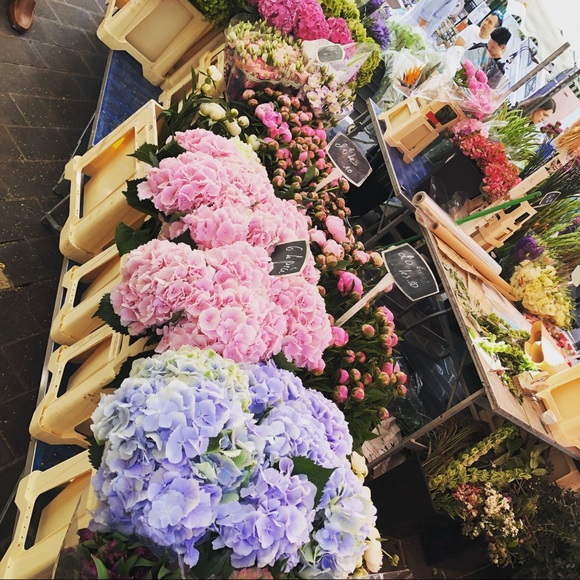 Meet your Posher, Cynthia - Picture 2 of 15